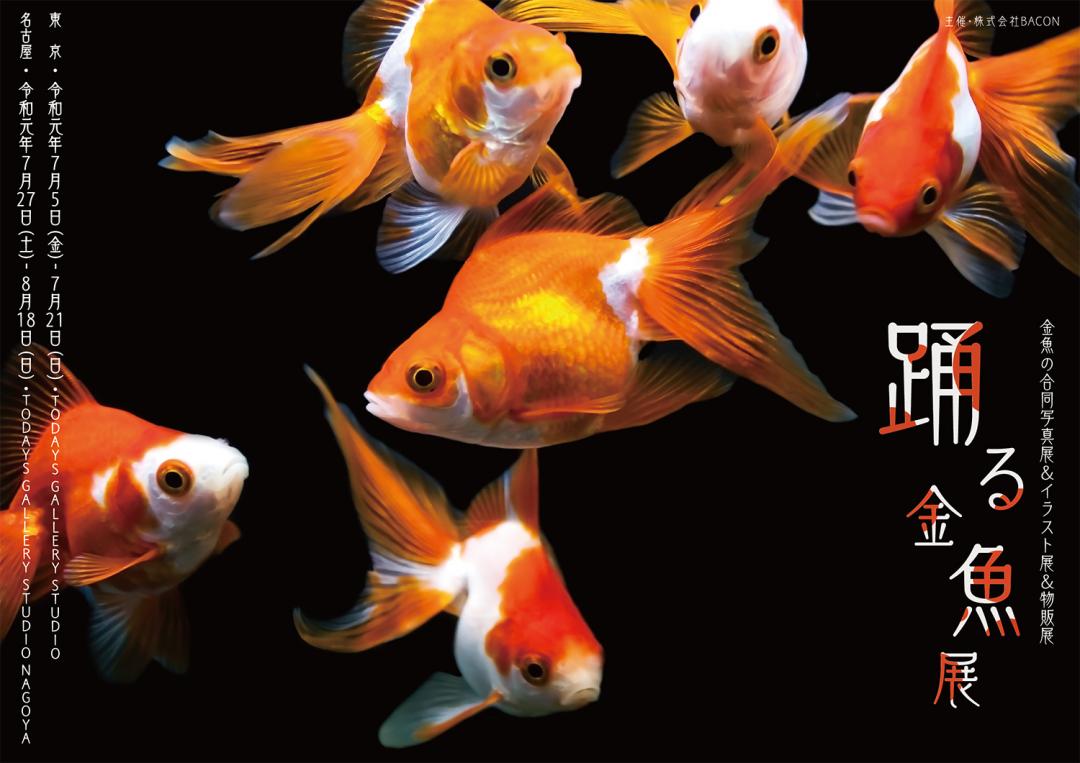 優雅に泳ぐ美しき金魚たちの写真展、「踊る金魚展」が東京・名古屋で開催！