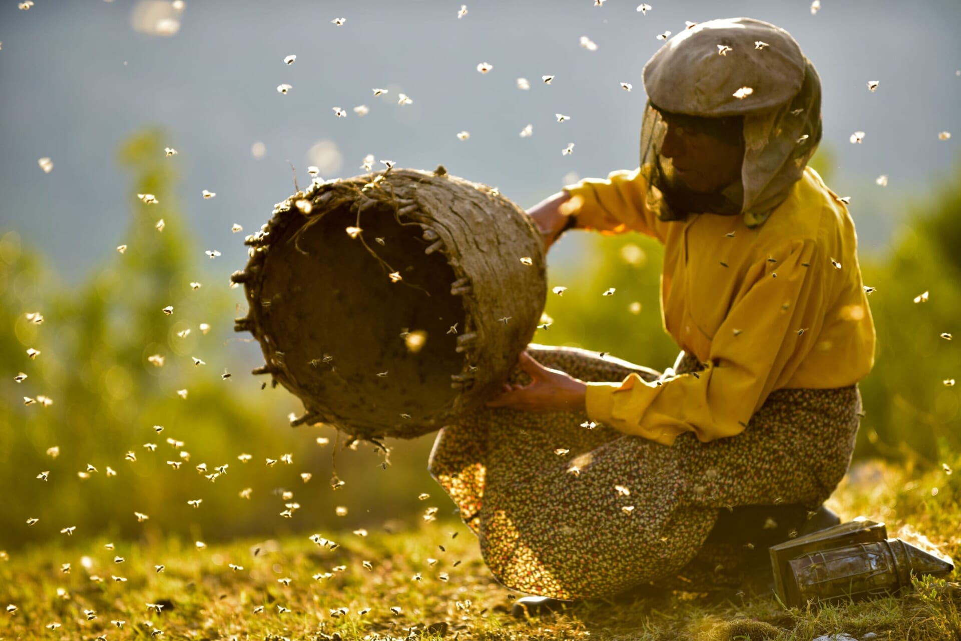 【レビュー】大自然に寄り添う女性養蜂家の崇高なる信条と暮らし―『ハニーランド　永遠の谷』