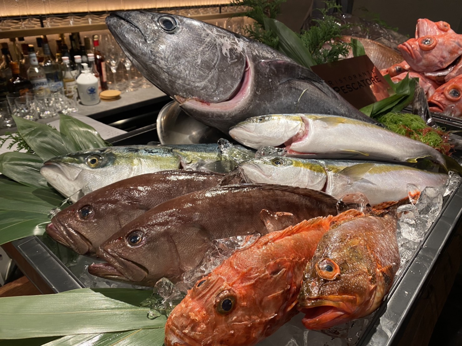 釣り人達の楽園が六本木にリニューアルオープン！日本初の釣った魚をシェアするお店『リストランテ ペスカトーレ』