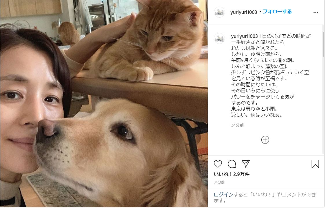石田ゆり子、“至福の時間” 愛犬・愛猫たちとの癒しショットにファン反響