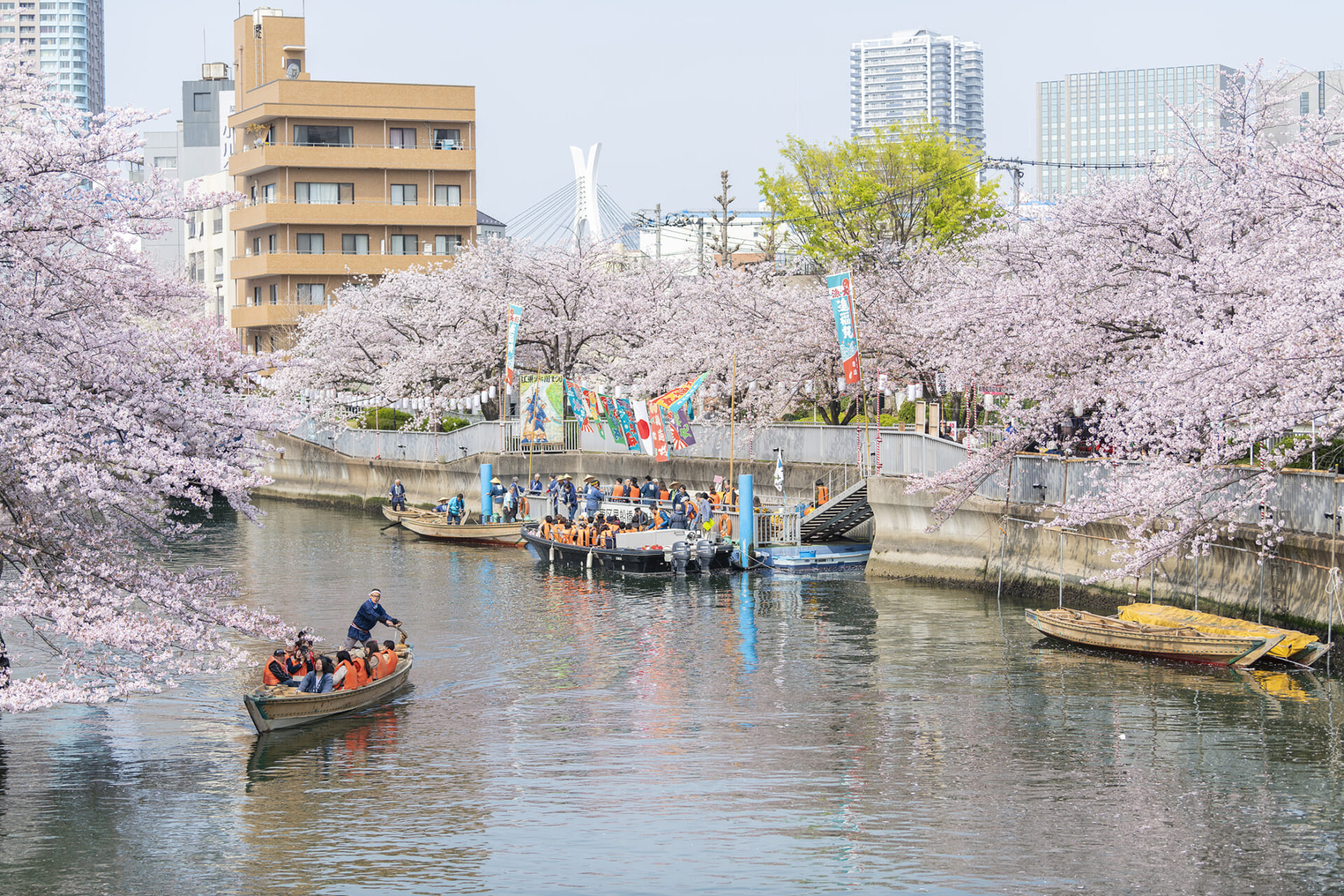 0225_fukagawa-sakura20251.jpg