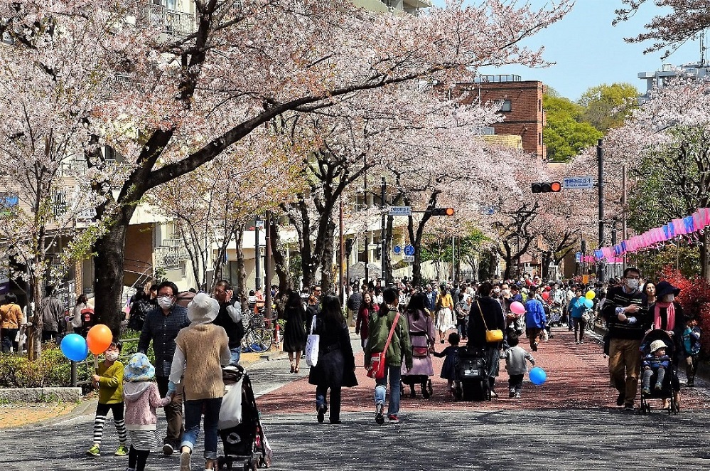 0317_bunkyosakuramatsuri20251.jpg