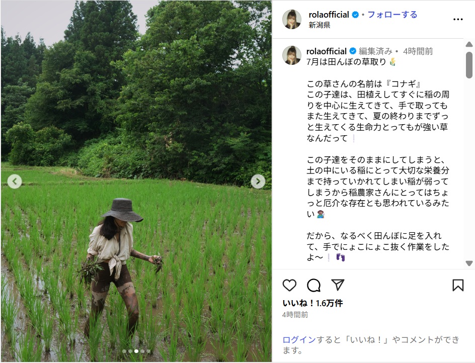 rola_ig0714.jpg
