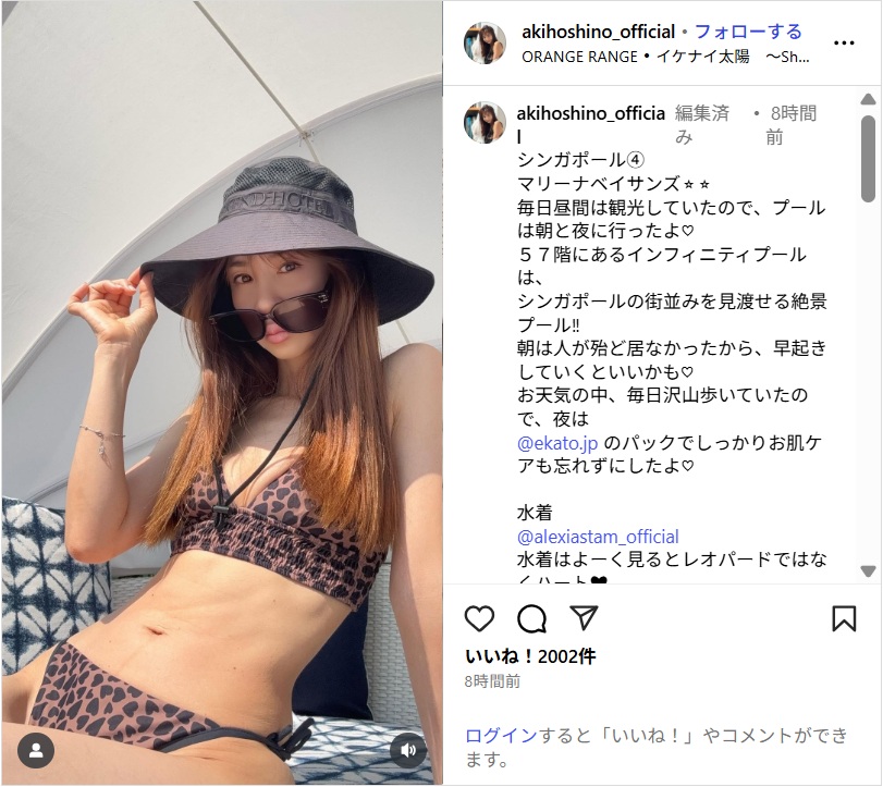 hoshinoaki_ig0804.jpg