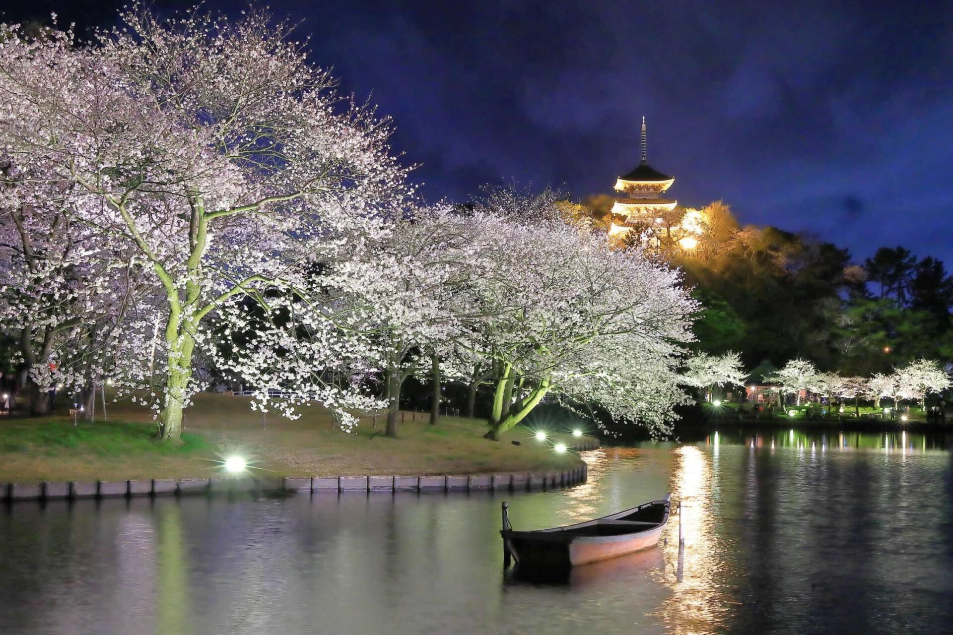 0317_sankeien.sakura26.1.jpg