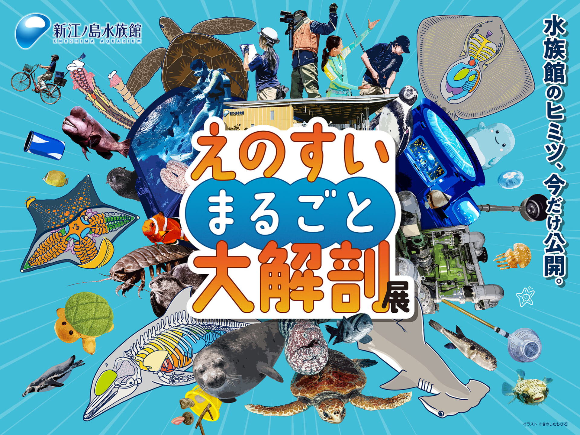 0608_enosui.daikaibo2607.1.jpg